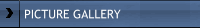 Picture Gallery