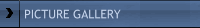 Picture Gallery